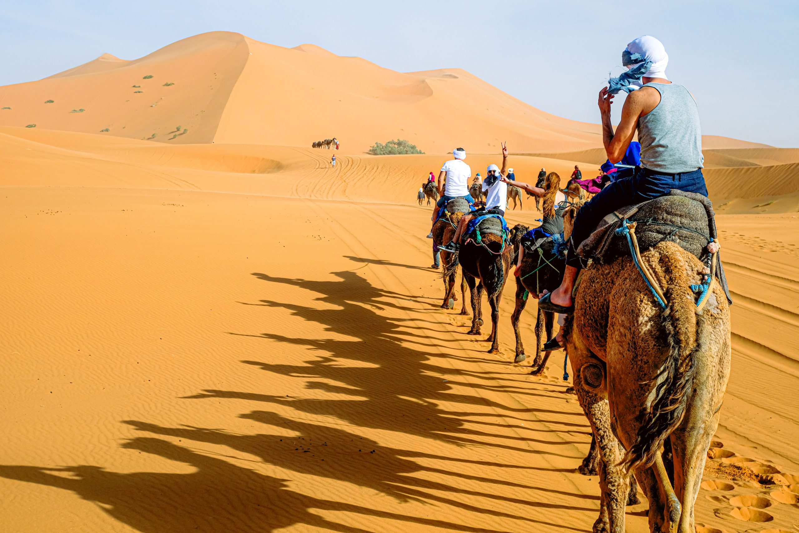 Caravane of the Camels trekking to the Middle of the Dunes